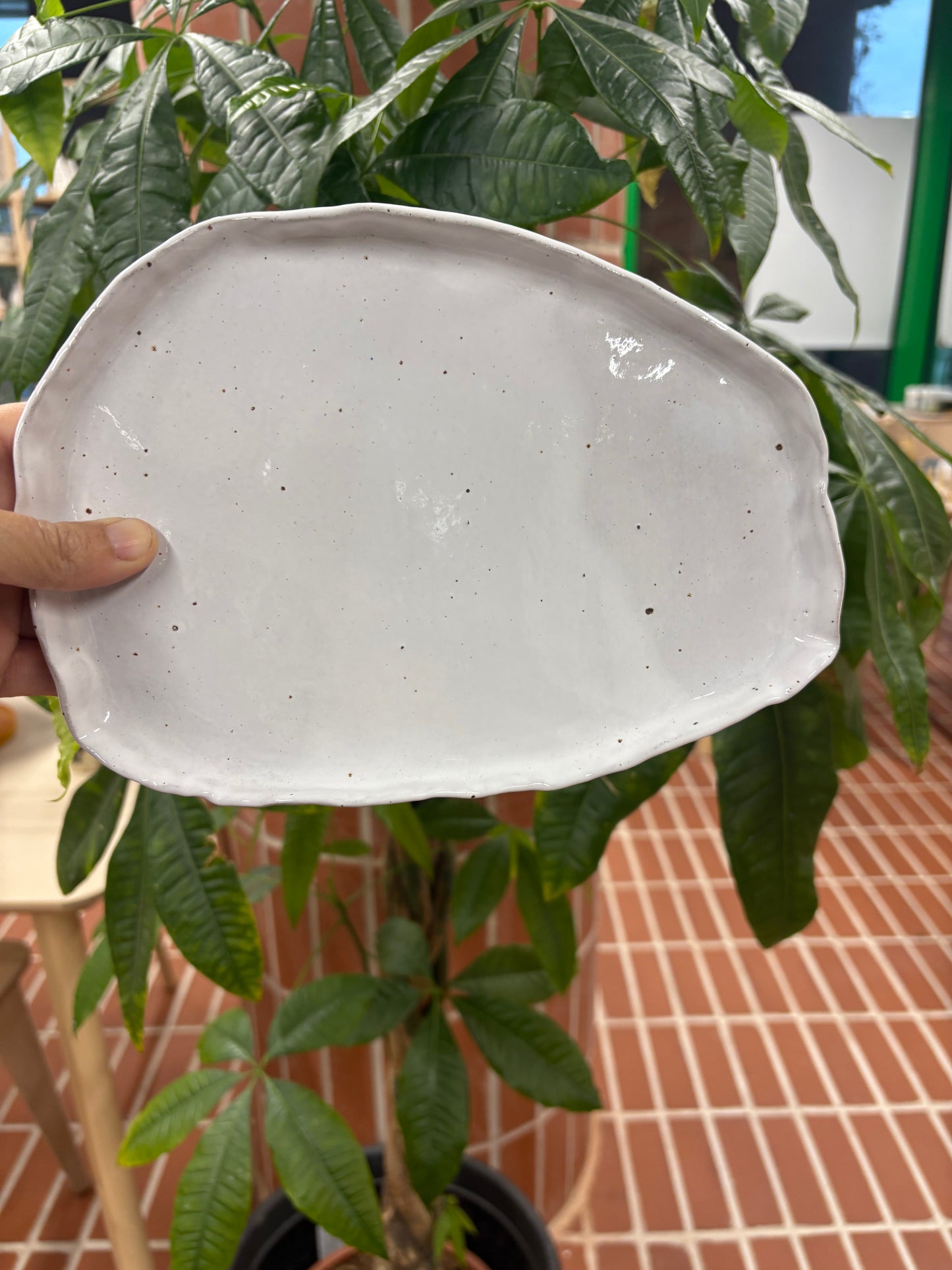 Irregular Plate