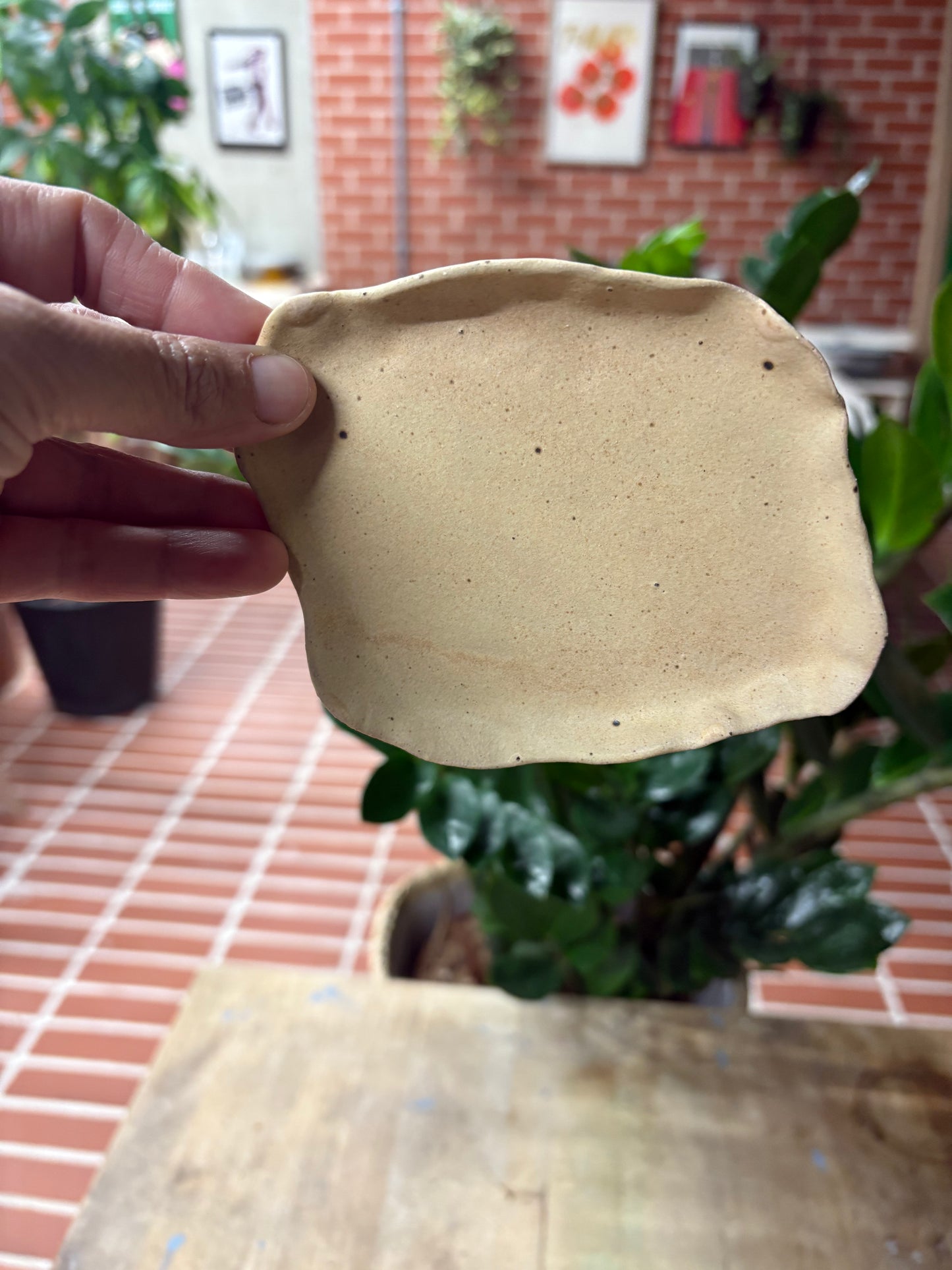 Irregular trinket dish, matte glaze