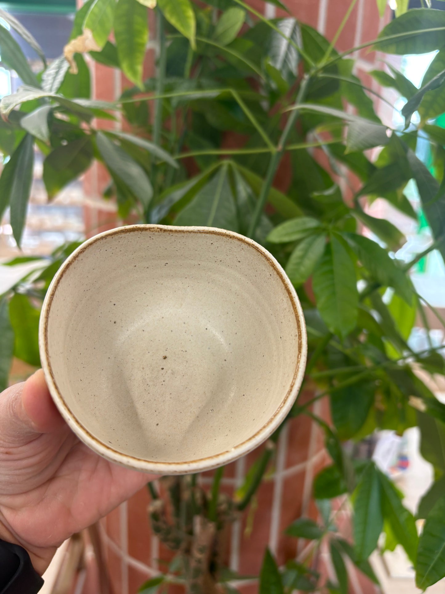 Ceramic Tea Bowl