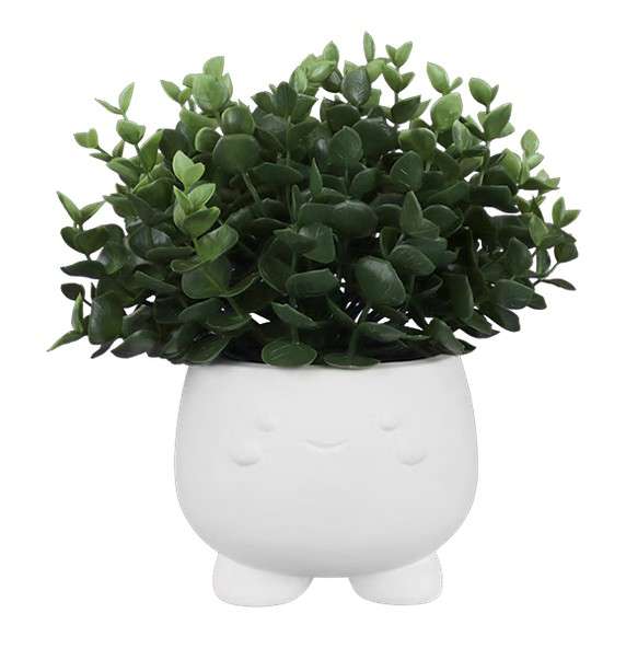 Cutie Plant Pot