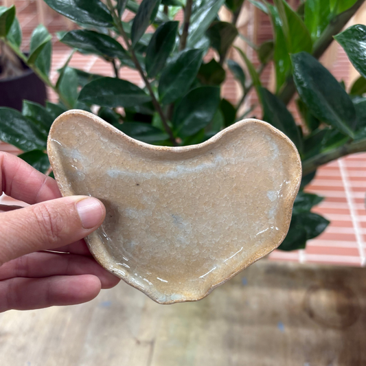 Handmade Irregular Trinket Dish